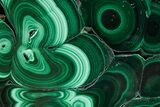 Flowery Polished Malachite Slab - DR Congo #360771-1